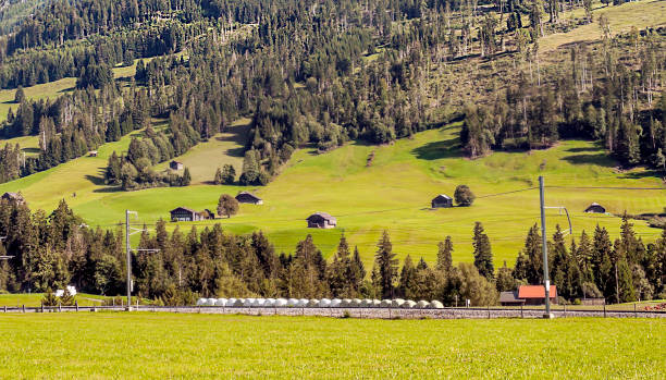 berge der schweizer alpen - hill grindelwald village landscape stock-fotos und bilder