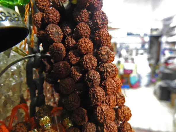 Bunch of Rudrakhs mala with fabric string hanging