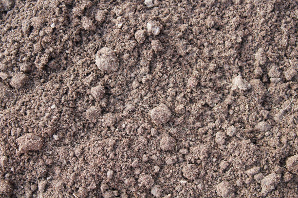 istock Soil in the garden. Close-up. Top view. Background. Texture. 1380319060