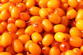 Fresh ripe sea buckthorn berries. Close-up. Top view. Background. Texture.
