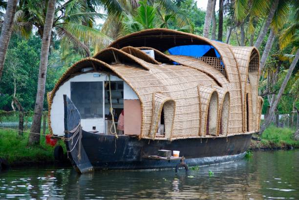 Back water cruise is considered must do in the trip in India