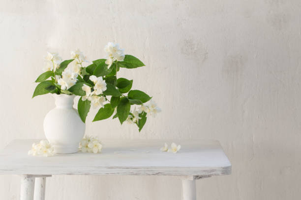 istock jasmine flowers in ceramic vase on white background 1380326610