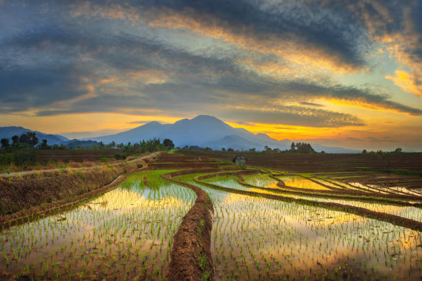 istock Morning view on Mount Baris in Indonesia 1380332922