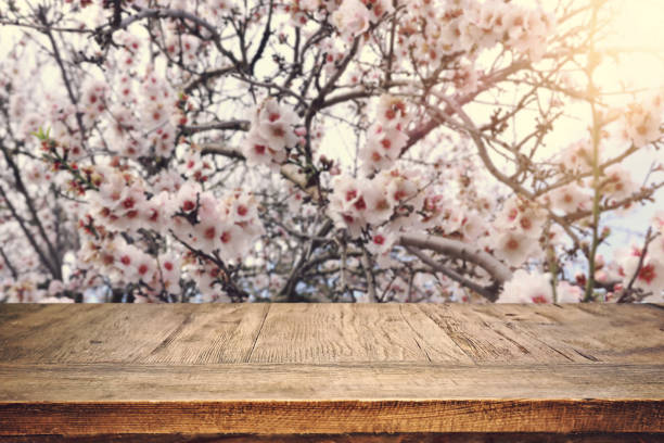 istock wooden table in front of spring blossom tree landscape. Product display and presentation 1380336280