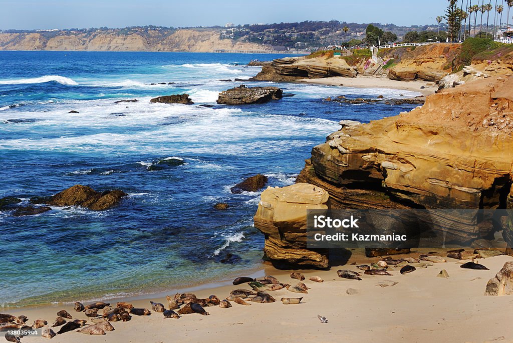 Enfants de la plage de San Diego - Photo de Californie libre de droits