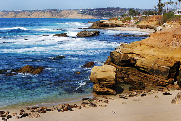 istock Children's Beach San Diego 138035944