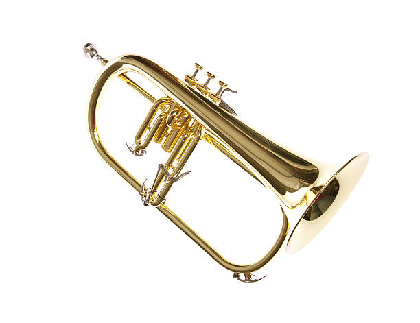 filiscorno - trumpet musical instrument wind instrument flugelhorn imagens e fotografias de stock