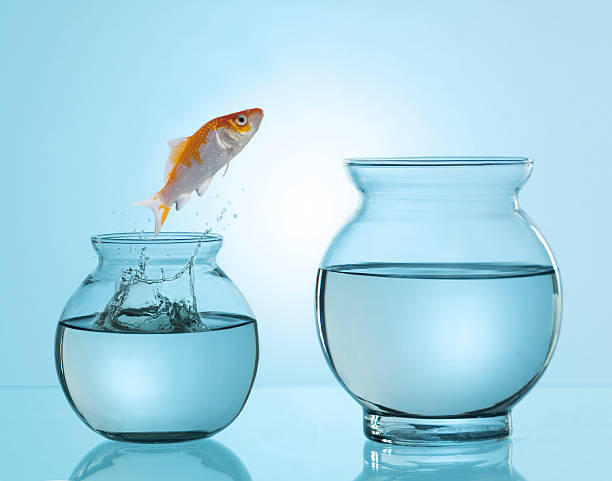 istock Conceptual Creative Still Life of  Jumping Fish Outside Water Tank 138038954