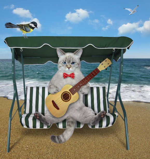 istock Cat ashen with guitar on swing chair 3 1380401074