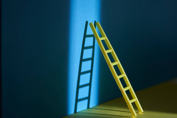 toy ladder on color background