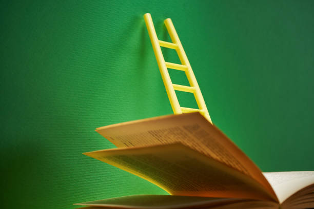 istock ladder on top of book- education concept 1380403848