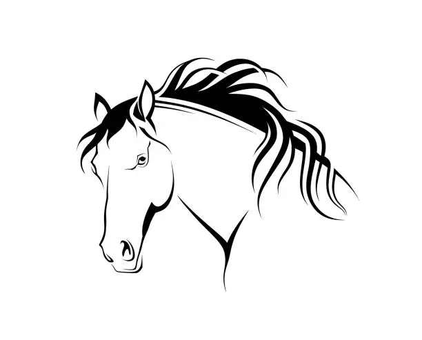 Vector illustration of Silhouette head horse. vector illustration