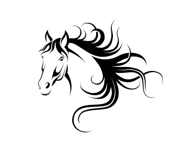 ilustraciones, imágenes clip art, dibujos animados e iconos de stock de silueta cabeza de caballo. ilustración vectorial - mane