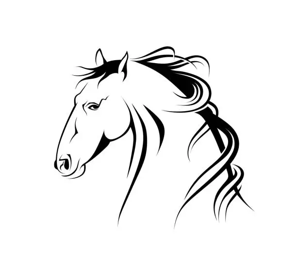 Vector illustration of Silhouette head horse. vector illustration