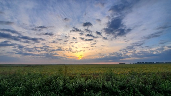 Beautiful sunset in rural field, midwest, farm, summer, spring