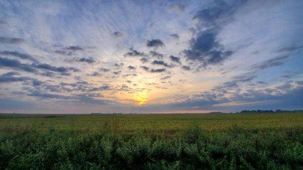 Rural sunset summer Beautiful sunset in rural field, midwest, farm, summer, spring michigan farmland stock pictures, royalty-free photos & images