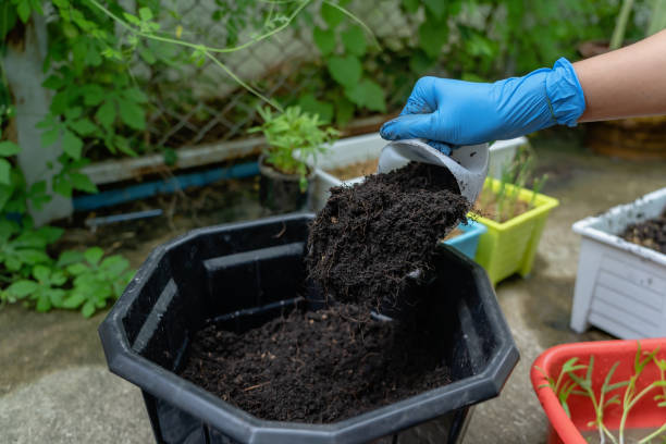 istock Hands showing abundance soil for agriculture or planting peach concept. Testing soil sample on hands wears blue rubber medical glove with soil ground background. Concept of soil quality and farming 1380429714