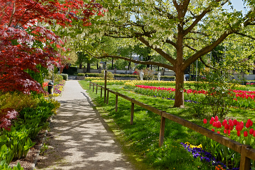 Public garden called „Burggarten“ located in heart of the city Wels - Austria