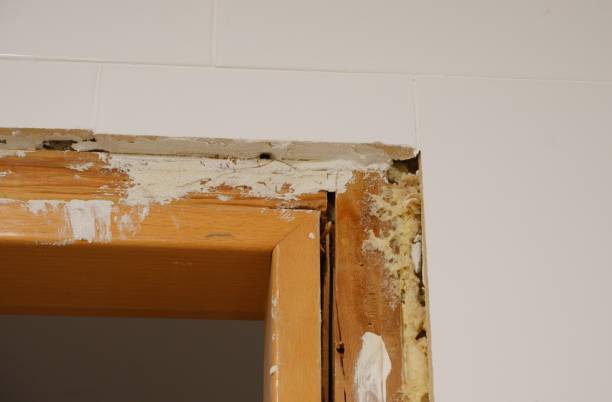 istock Wood door frame in an old house 1380454989