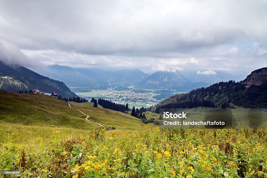 Горном Пастбище Lechaschau - Стоковые фото Австрия роялти-фри