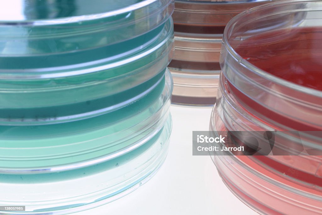 Bakteriologiczne mediów - Zbiór zdjęć royalty-free (Badania)