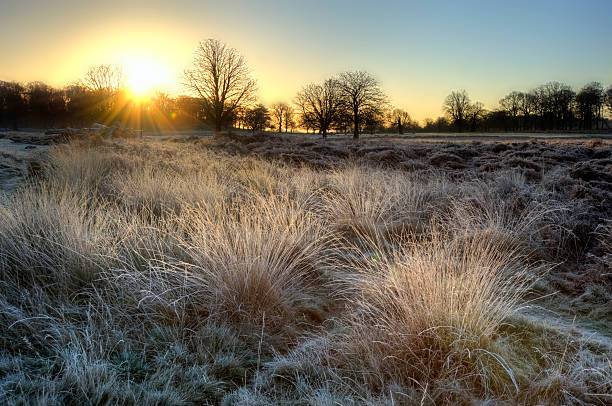 istock Frosty Winter landscape across field towards sunrise 138052536