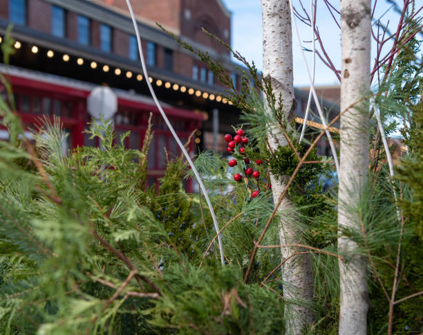 istock Red berries on a tree display in  Byward Market, Ottawa 1380539625