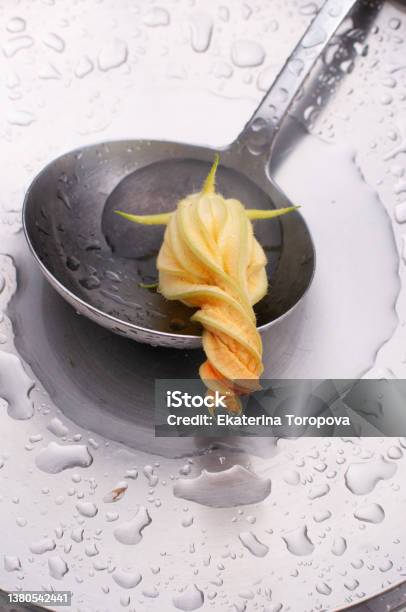 Twisted Spiral Zucchini Flower In A Steel Fin Abstract Close Foreshortening Minimalisme Stock Photo - Download Image Now