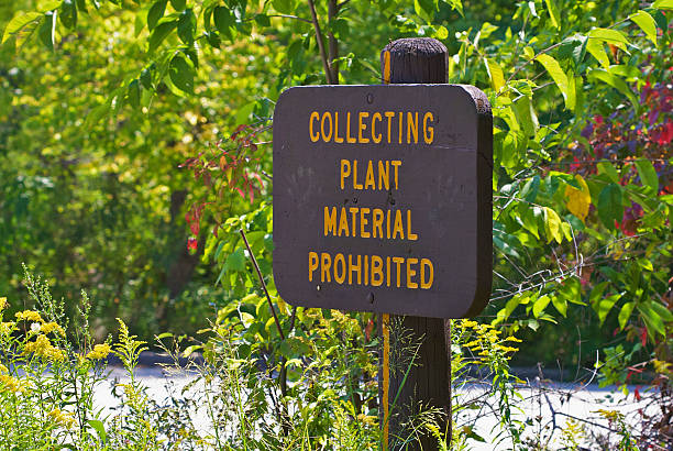 Collecting plant material prohibited stock photo