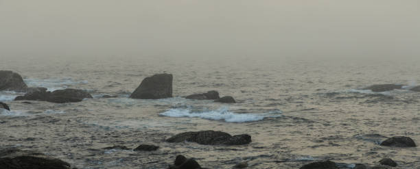 beach scenery with pebbles and rocks