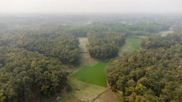An aerial view of the complex forest and cropland landscape, photo taken from Tangail