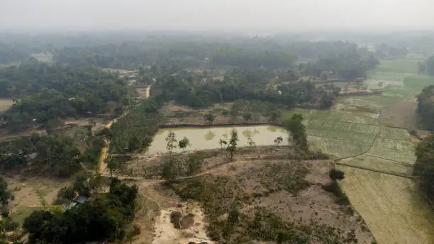 Haze over Mirzapur mixed forest, croplands pond. The picture was taken in Tangail.
