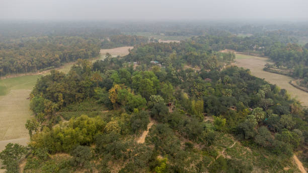 istock Fog in Mirzapur forest and crop lands 1380572724