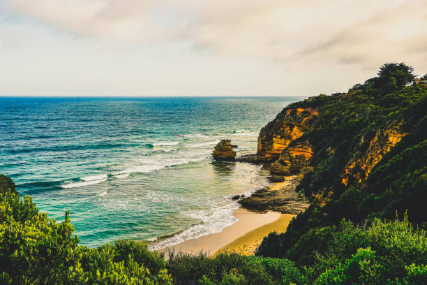 istock View of the Ocean in Australia over some plants. 1380578651