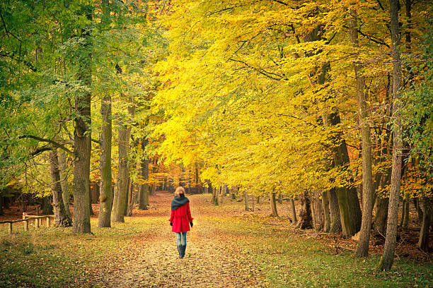 istock Walking in the autumn park 138058134