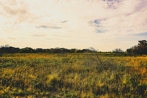 The Outback of australia in good weather.