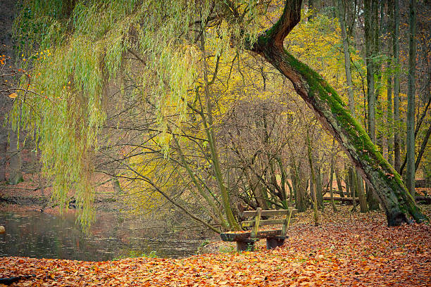 istock Pond in the autumn park 138059352