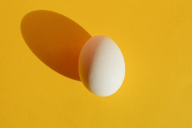 istock white chicken egg on a yellow background. preparation for the Easter holiday. 1380617373