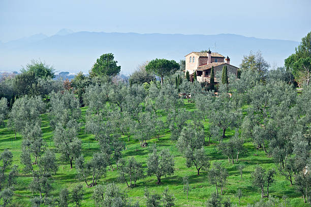 A small tuscan farmhouse in the town of Vinci just outside of Florence