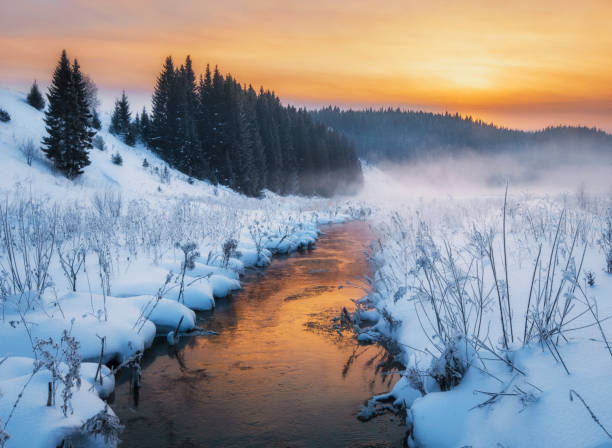 istock Landscape river winter seasonal view water snow forest 1380675117