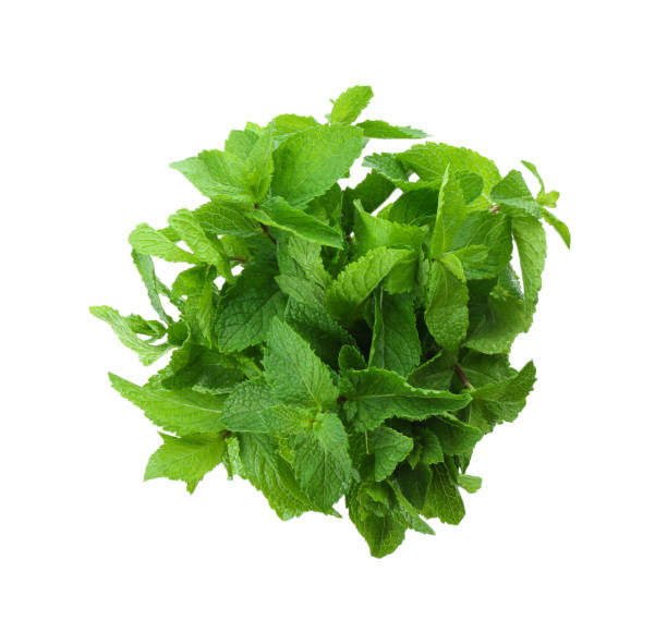 istock Bunch of fresh mint isolated on white, top view 1380683354