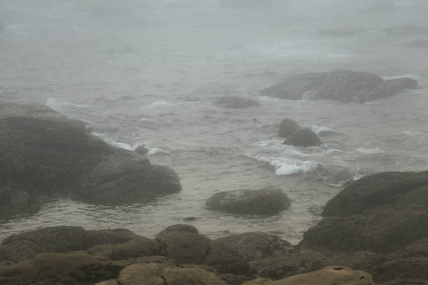 Stones of Costa da Morte, hidden in the fog and looking like an alien landscape.