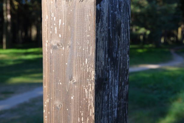 istock Wooden post in the nature 1380688968