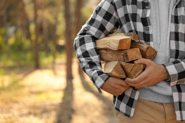 istock Man with cut firewood in forest, closeup 1380696472