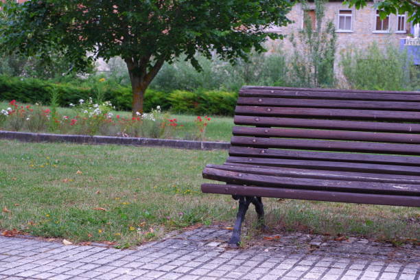 istock Wooden park bench in the park 1380697244