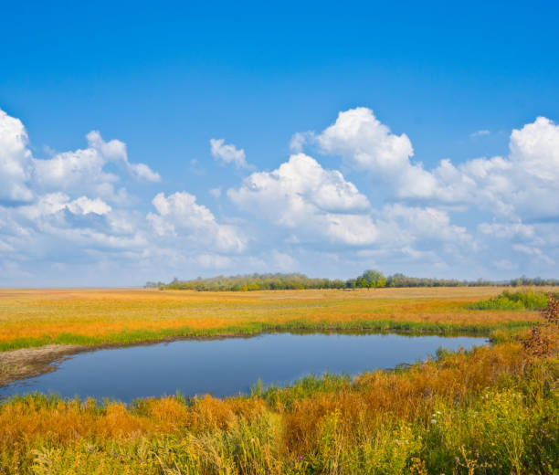 istock quiet small lake among prairies, summer outdoor scene 1380703181