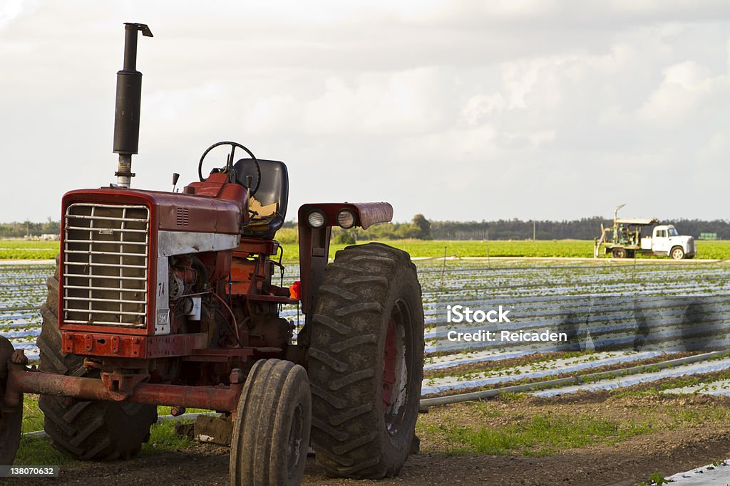 vintage-Traktor auf die gepflegten Wiesen - Lizenzfrei Agrarbetrieb Stock-Foto