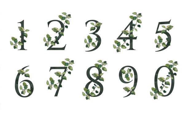 Dark digits 1, 2, 3, 4, 5, 6, 7, 8, 9, 0 with green melissa twigs Dark green floral alphabet: digits 1, 2, 3, 4, 5, 6, 7, 8, 9, 0 with melissa twigs. Watercolor collection for anniversary, wedding, birthday and other celebratory events"u2019 invitations and cards 4 letter monogram stock illustrations