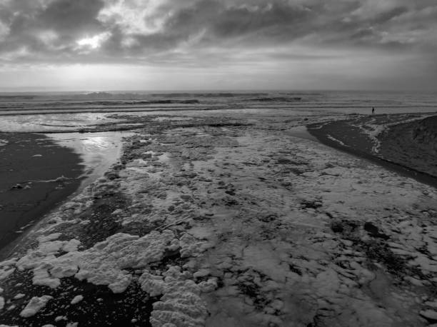 istock Sea foam at the seaside in monochrome 1380748900