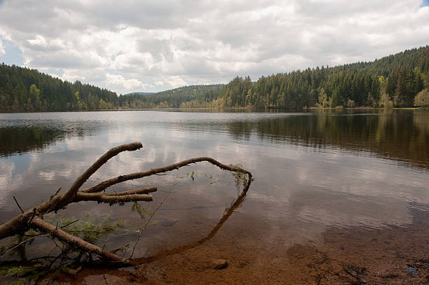 istock Windgfällweiher at black forrest in Germany 138075035